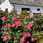 Lejlighed Duenennest Sylt - Traumhafter Garten & Kamin Im Herzen Von *