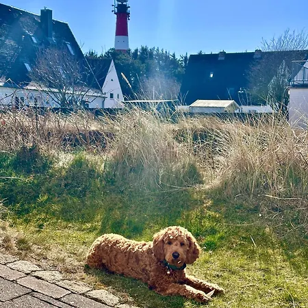 Duenennest Sylt - Privatgarten Mit Leuchtturmblick Im Herzen Von Hoernum *