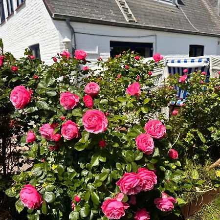 Διαμέρισμα Duenennest Sylt - Privatgarten Mit Leuchtturmblick Im Herzen Von Hoernum *